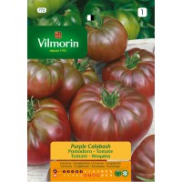 VILMORIN SEMILLAS TOMATE PURPLE CALABASH
