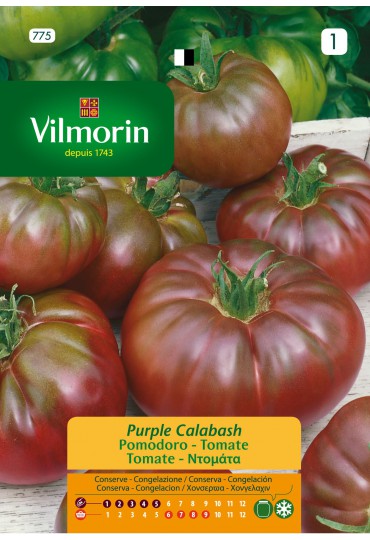 VILMORIN SEMILLAS TOMATE PURPLE CALABASH