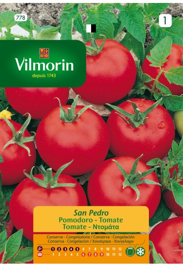 VILMORIN SEMILLA TOMATE SAN PEDRO