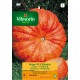 VILMORIN SEMILLAS CALABAZA ROJO VIVO ETAMPES