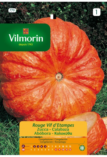 VILMORIN SEMILLAS CALABAZA ROJO VIVO ETAMPES