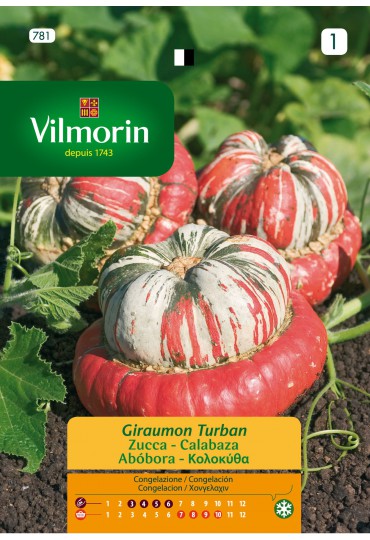 VILMORIN SEMILLA CALABAZA GIRAUMOB TURBANTE