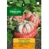 VILMORIN SEMILLA CALABAZA GIRAUMOB TURBANTE