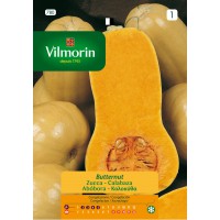VILMORIN SEMILLA CALABAZA BUTTERNUT
