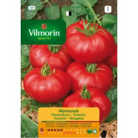 VILMORIN SEMILLAS TOMATE MARMANDE RAFF