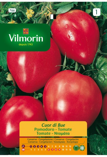 VILMORIN SEMILLA TOMATE CORAZÓN DE BUEY