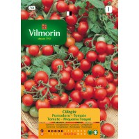 VILMORIN SEMILLA TOMATE CLIEGGIA