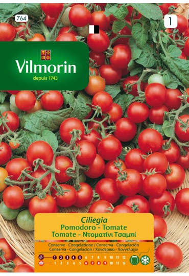 VILMORIN SEMILLA TOMATE CLIEGGIA