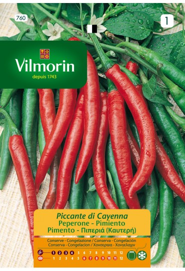 VILMORIN SEMILLA PIMIENTO LARGO DE CAYENA