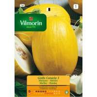 VILMORIN SEMILLAS MELON GIALLO CANARIA