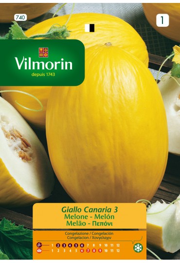 VILMORIN SEMILLAS MELON GIALLO CANARIA