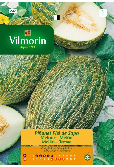 VILMORIN SEMILLAS MELÓN PIEL DE SAPO