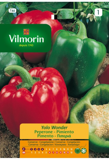 VILMORIN SEMILLAS PIMIENTO YOLO WONDER