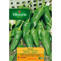 VILMORIN SEMILLAS PIMIENTO PADRÓN