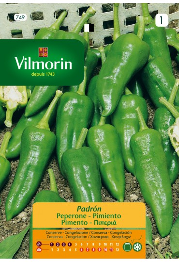 VILMORIN SEMILLAS PIMIENTO PADRÓN