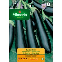 VILMORIN SEMILLAS BERENJENA DE BARBENTANE