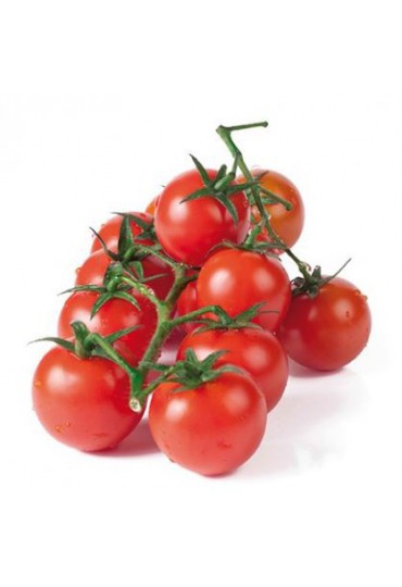 TOMATE CHERRY REDONDO