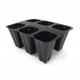 COL PICUDA PACK 6 ECO