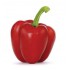 PIMIENTO CALIFORNIA ROJO