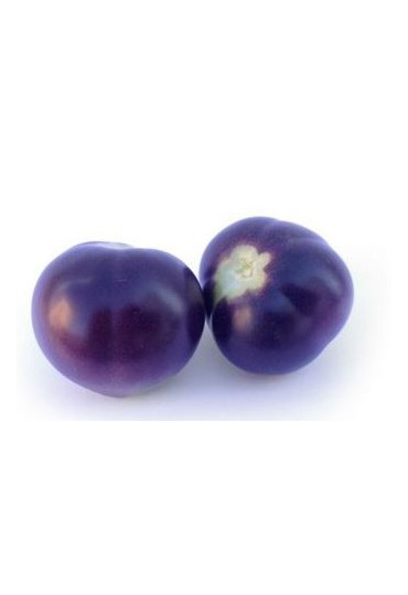 TOMATE AZUL