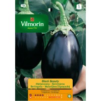 VILMORIN SEMILLAS BERENJENA BLACK BEAUTY