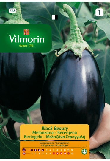 VILMORIN SEMILLAS BERENJENA BLACK BEAUTY