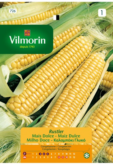 VILMORIN SEMILLAS MAIZ DULCE RUSTLER