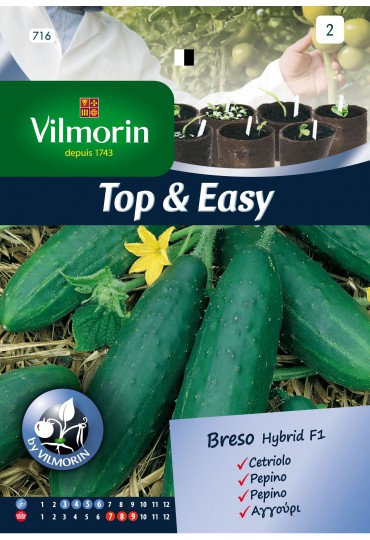 VILMORIN SEMILLAS PEPINO BRESO