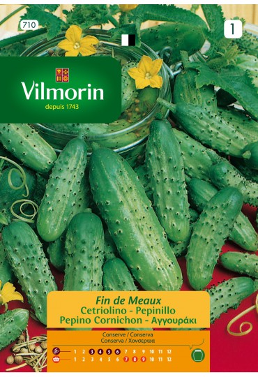 VILMORIN SEMILLAS PEPINILLO FIN DE MEAUX