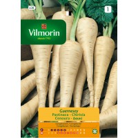 VILMORIN SEMILLAS CHIRIVIA DE GUERNESAY