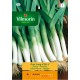 VILMORIN SEMILLAS PUERRO GRUESO VERANO