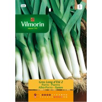 VILMORIN SEMILLAS PUERRO GRUESO VERANO