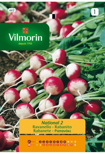 VILMORIN SEMILLAS RABANITO NATIONAL