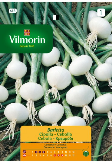 VILMORIN SEMILLAS CEBOLLA BLANCA BARLETTA