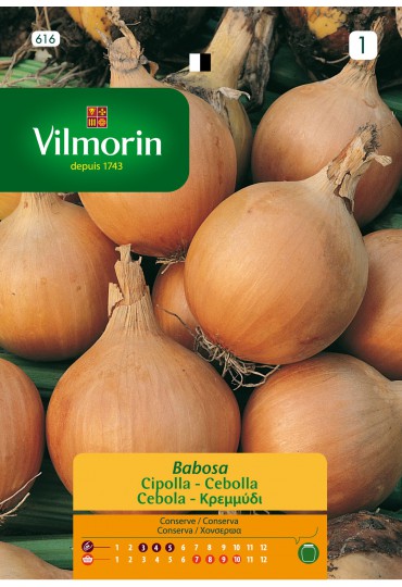 VILMORIN SEMILLAS CEBOLLA BABOSA