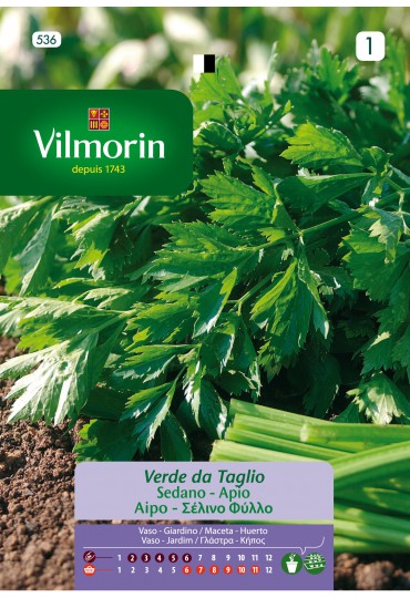 VILMORIN SEMILLAS APIO PARA CORTAR