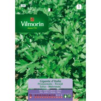 VILMORIN SEMILLAS PEREJIL GIGANTE DE ITALIA
