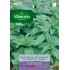 VILMORIN SEMILLAS MENTA PIPERITA