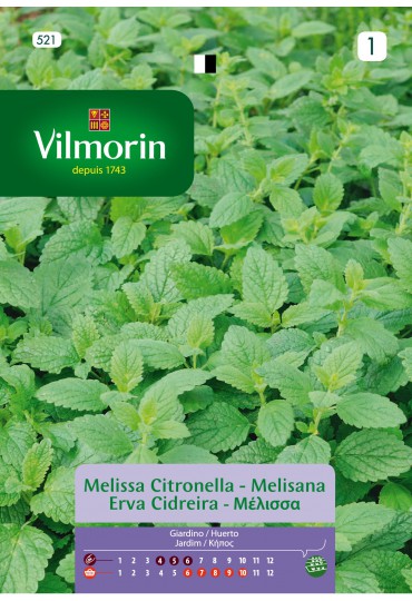 VILMORIN SEMILLAS MELISANA