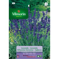 VILMORIN SEMILLAS LAVANDA