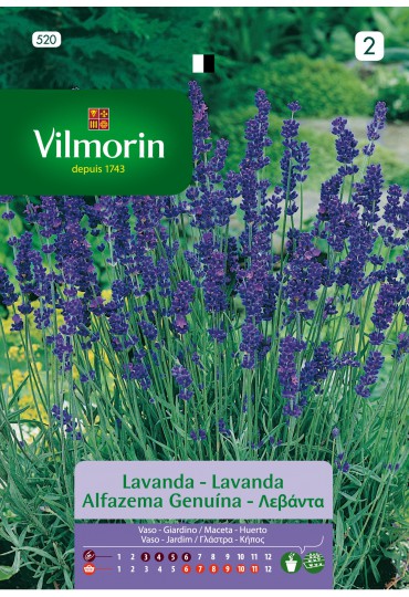 VILMORIN SEMILLAS LAVANDA