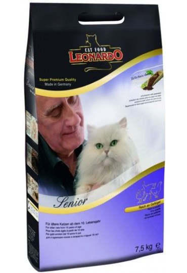 Leonardo Senior Leonardo Senior