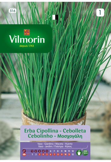 VILMORIN SEMILLAS CEBOLLETA