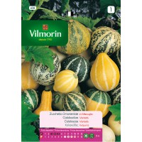 VILMORIN SEMILLAS CALABACITAS VARIADAS