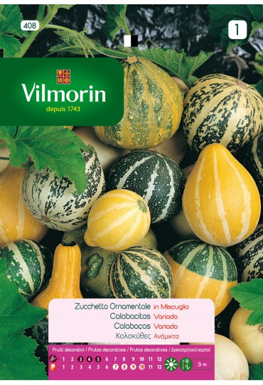 VILMORIN SEMILLAS CALABACITAS VARIADAS