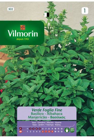 VILMORIN SEMILLAS ALBAHACA FINA VERDE