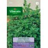 VILMORIN SEMILLAS ALBAHACA FINA VERDE