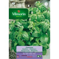 VILMORIN SEMILLA ALBAHACA GRANDE VERDE AROMATICA