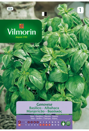 VILMORIN SEMILLA ALBAHACA GRANDE VERDE AROMATICA