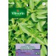 VILMORIN SEMILLAS ALBAHACA LEMON